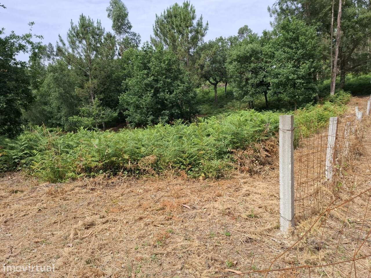 Terreno c/ projeto - Vale de Cambra-8