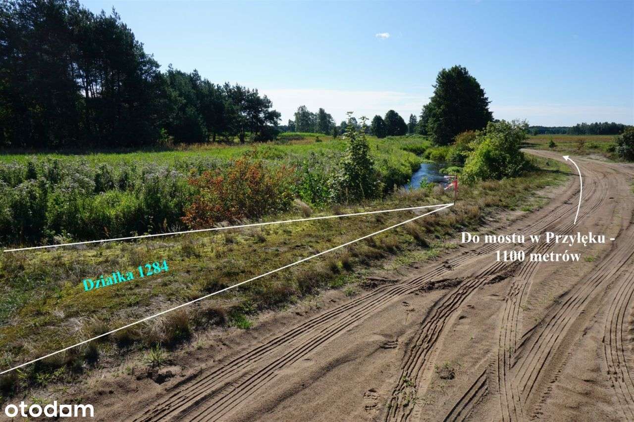Działka 908 m² nad rzeką Czarną, Przyłęk, Paradyż-5