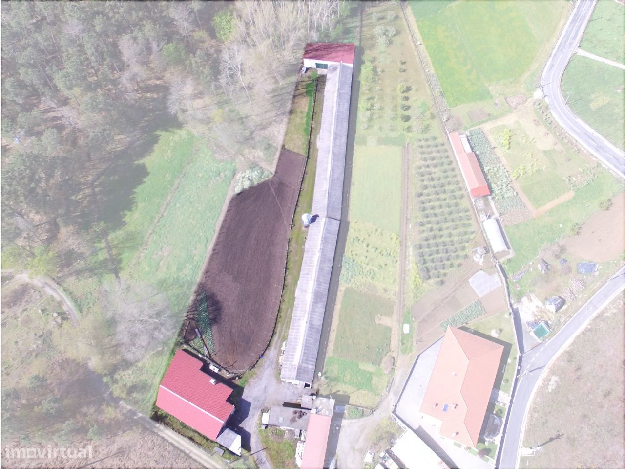 Aviário para venda com armazéns e terreno para cultivo .Bons acessos.