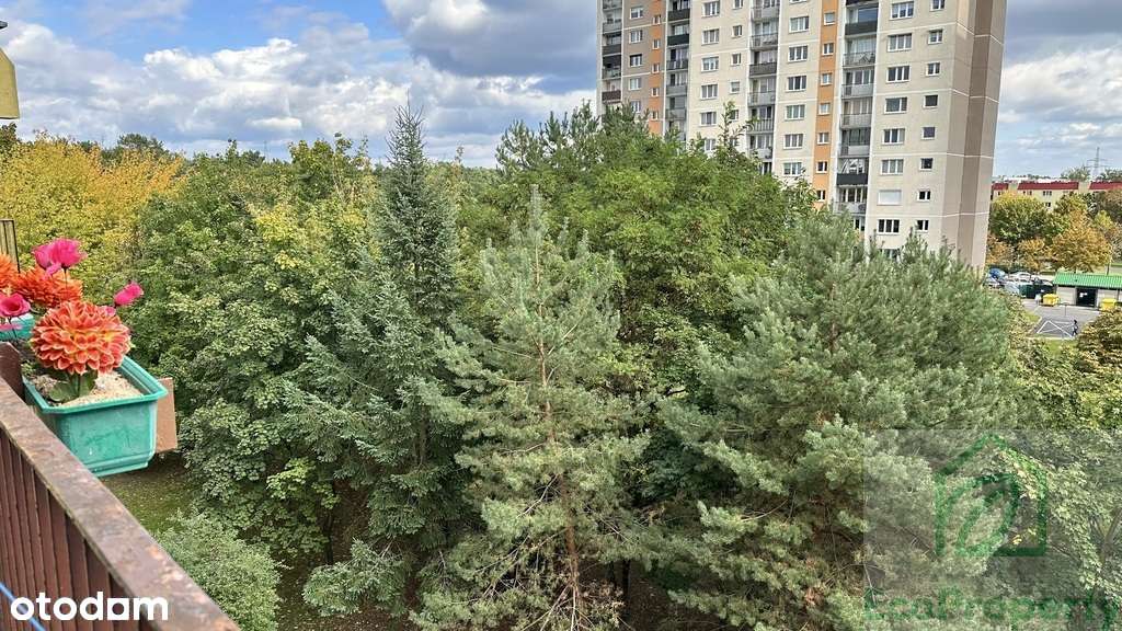 Duże 3-pok. mieszkanie z loggią i widok na zieleń - Pełny obrazek: 1/14