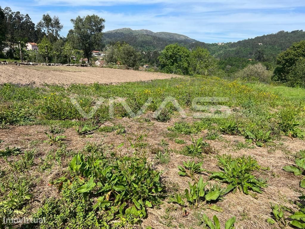 Terreno  Venda em Vade,Vila Verde