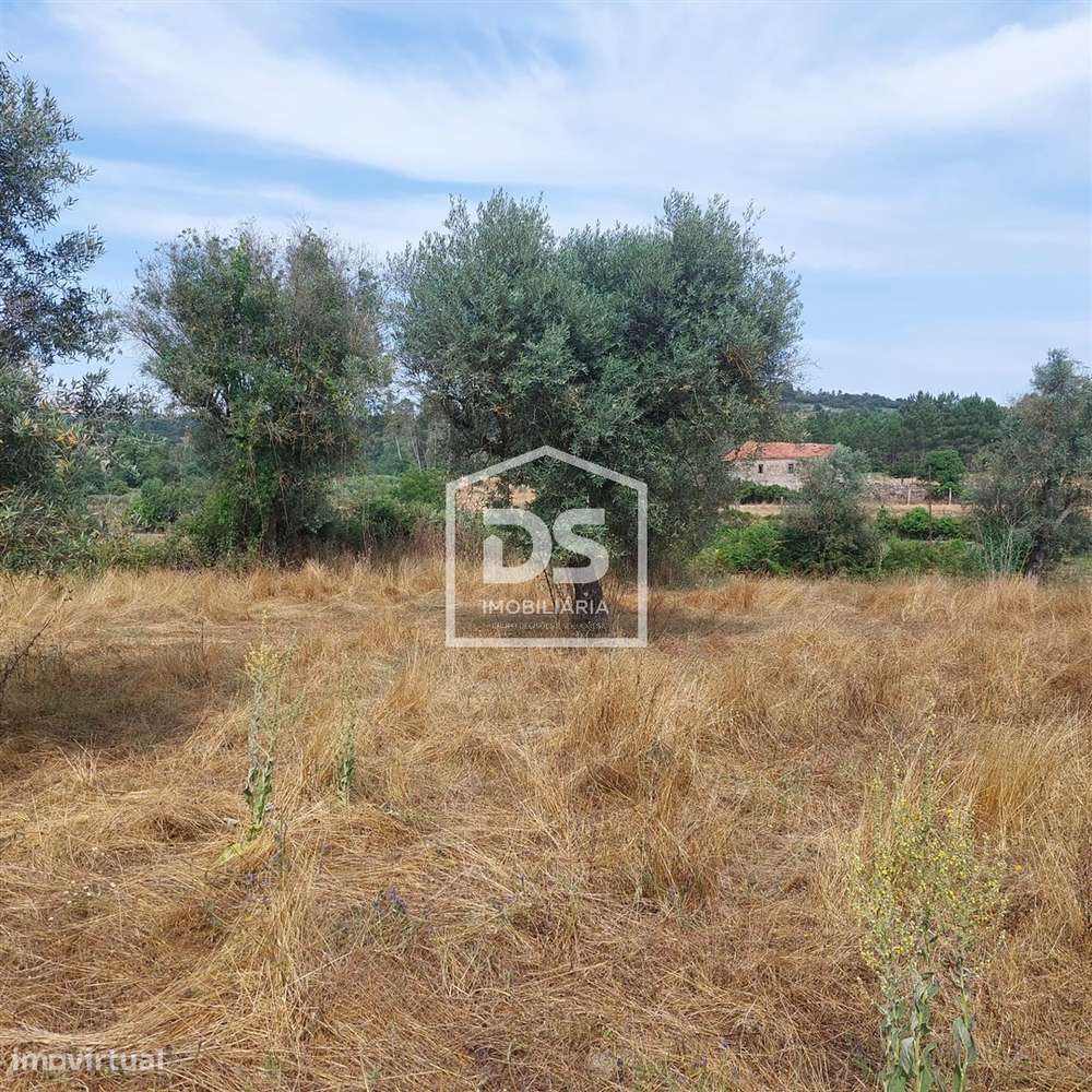 Lote de Terreno  Venda em Juncais, Vila Ruiva e Vila Soeiro do Chão,Fo-32