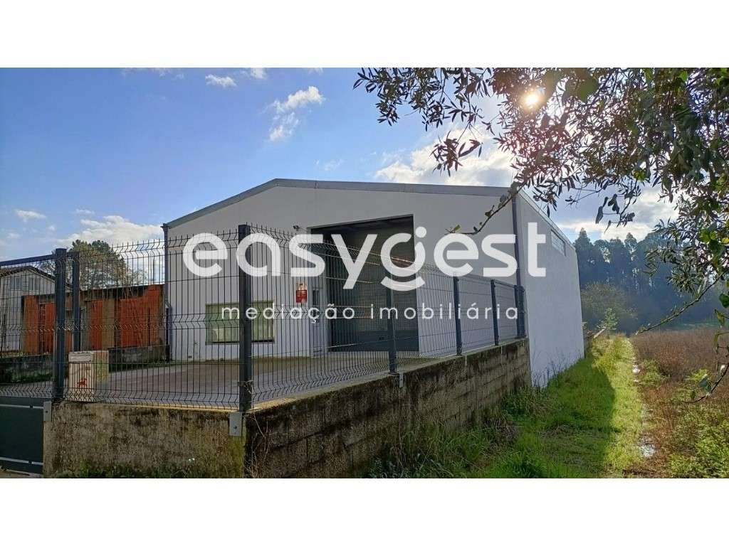 Armazém com excelente localização no Troviscal (Oliveira do Bairro) - Grande imagem: 3/25