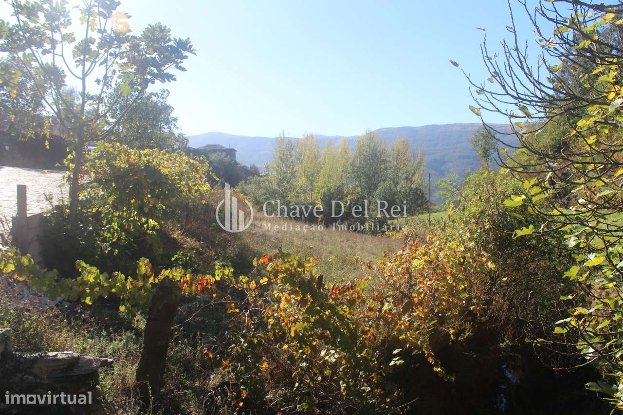 Quinta  Venda em Parada de Ester e Ester,Castro Daire - Grande imagem: 4/21