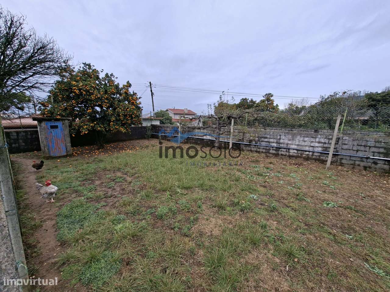 Moradia Térrea T3 na Branca, Albergaria-A-Velha-27