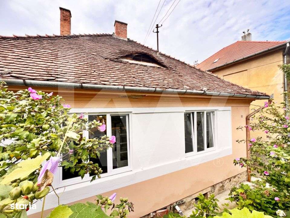 Casa pe un singur nivel cu 3 camere+pivnita. Pod si curte-Zona Sub Ari - Imagine principală: 5/19