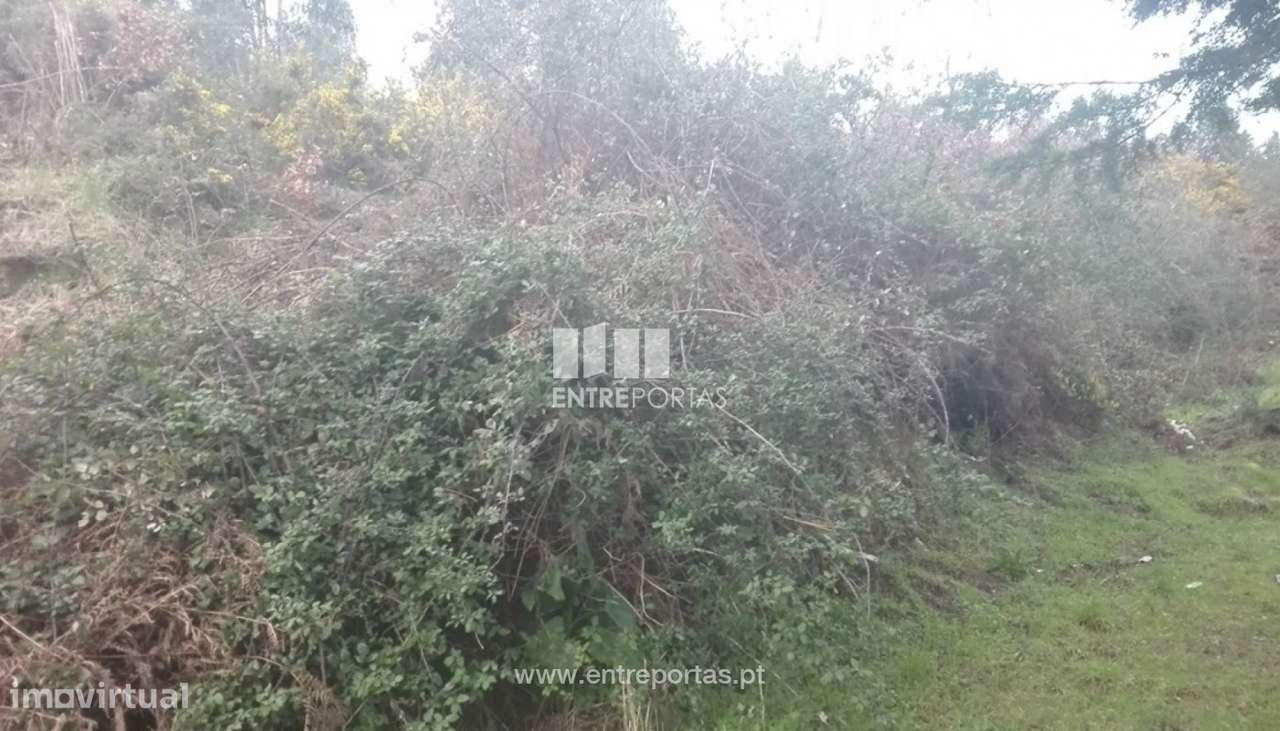 Venda Terreno, Sande, Marco de Canaveses - Grande imagem: 4/6