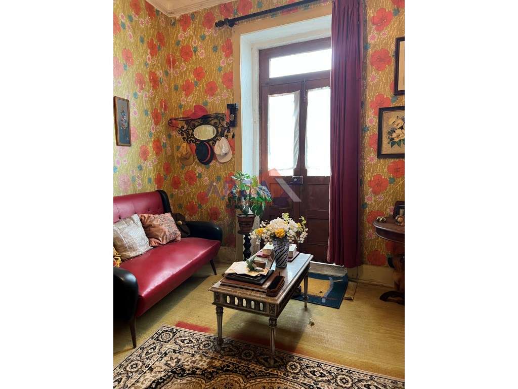 Oportunidade: 2 casas + artigo rústico com 2,0648 ha, perto de Oliv...-59