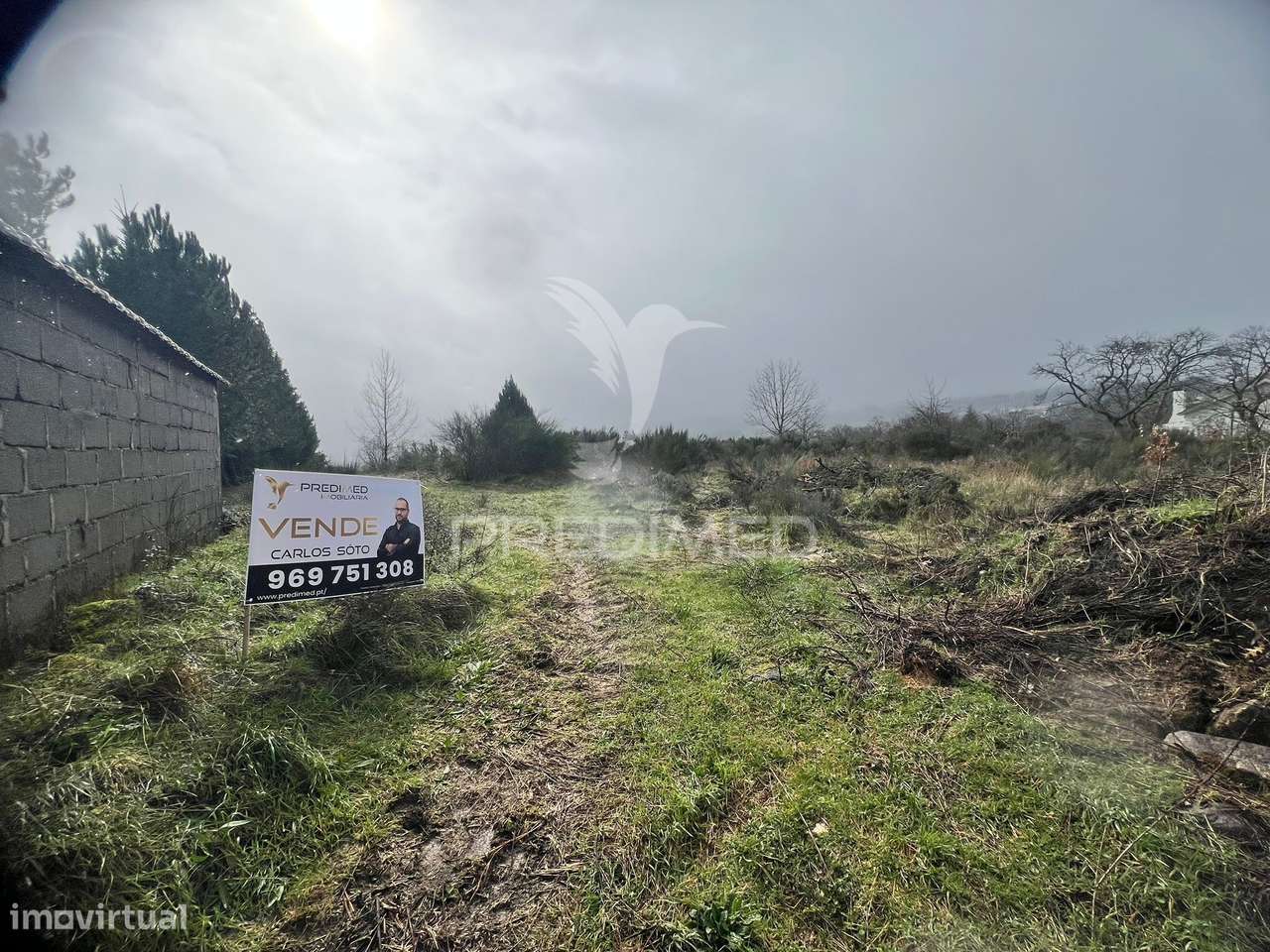 Terreno Rustico Penela Da Beira - Grande imagem: 2/4