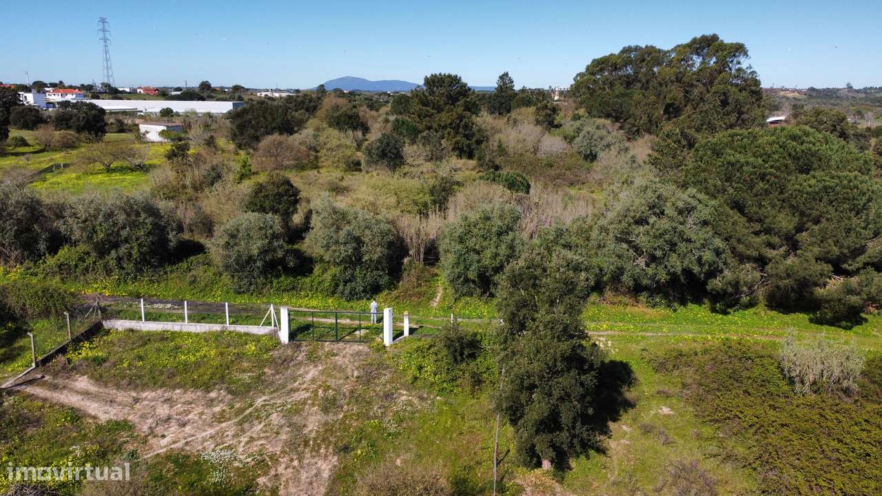 Apresento terreno agrícola, no Cartaxo com área total de 12 200 m2-5
