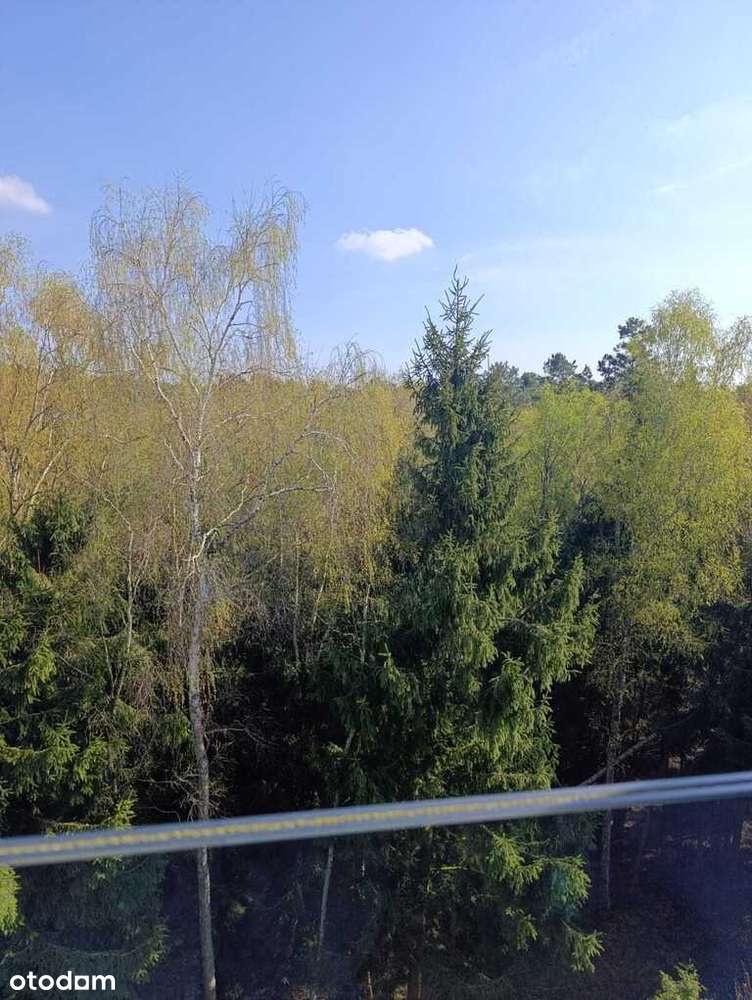 Apartament typu Penthouse Golden Tulip-14