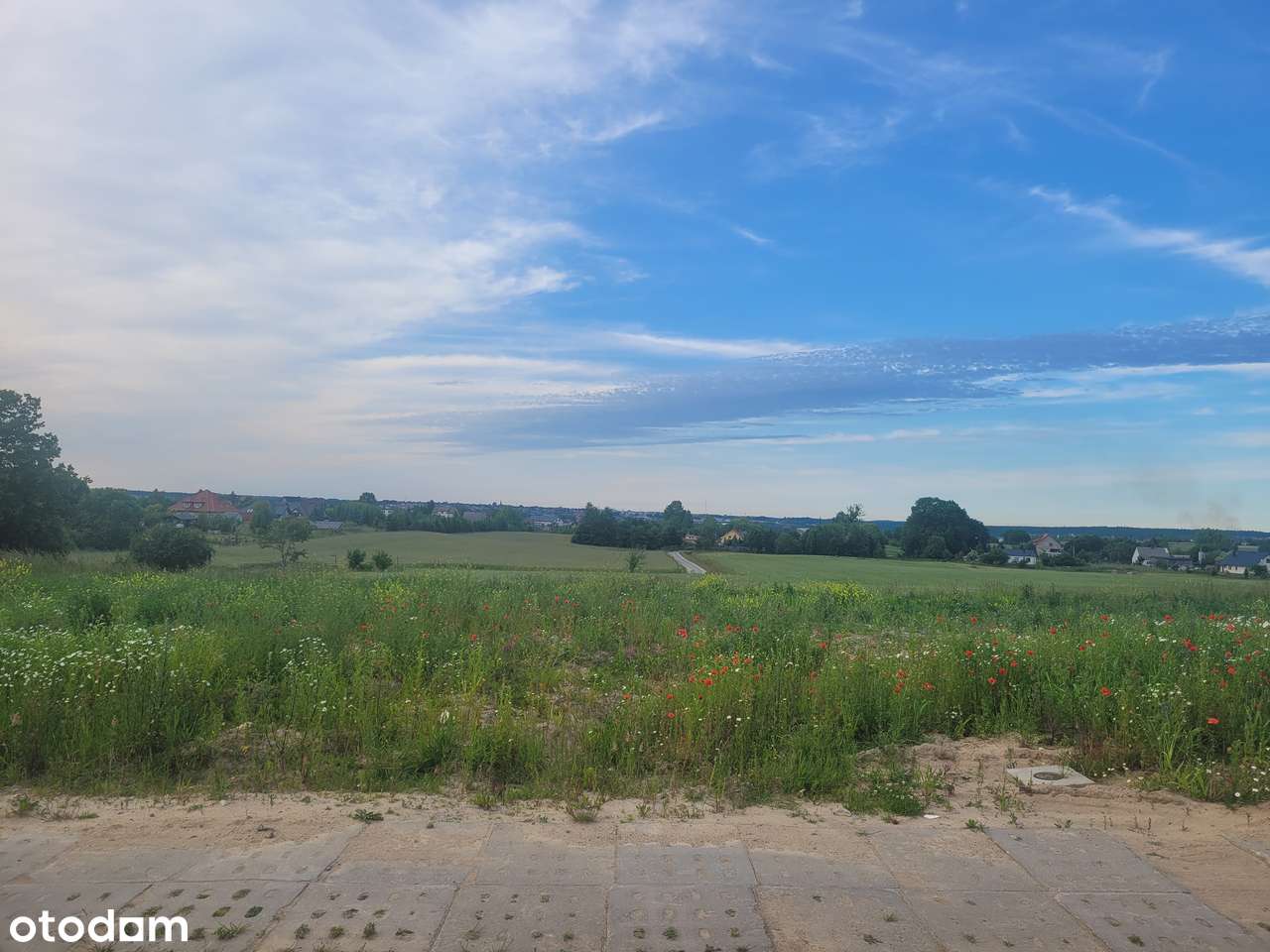 Szybki dojazd do obwodnicy|duża działka|PKM|słoneczna|ostatnia połówka-11