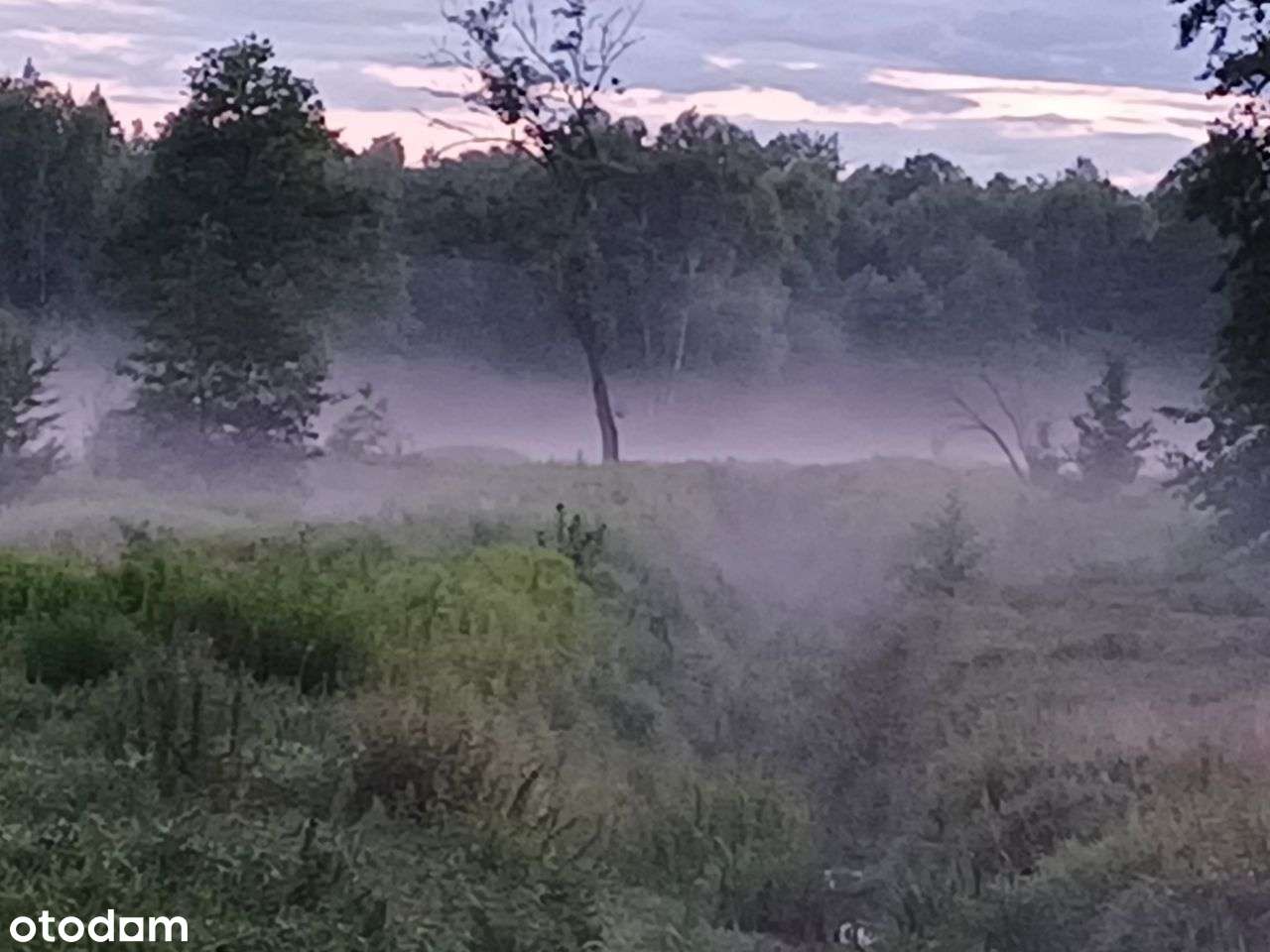 Działka Ostrówek Lipka gm Klembów Media Mpzp, Mu Pu 700 m - Pełny obrazek: 5/9
