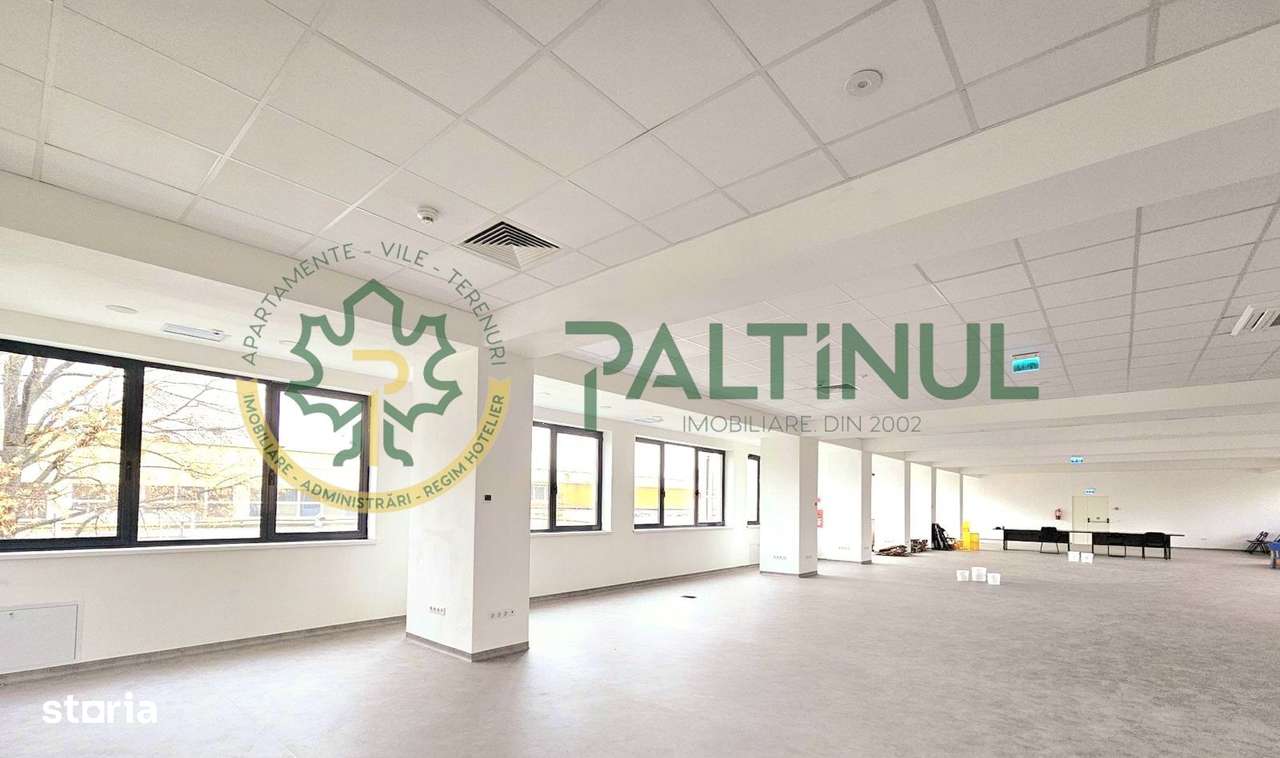 Spațiu de închiriat Turnișor, Sibiu – 427 mp, acces individual - Imagine principală: 2/5