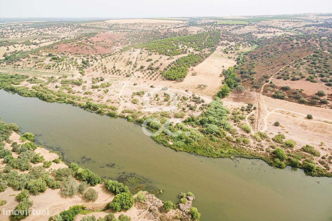 Herdade de 18,7 hectares com monte junto ao Guadiana | Serpa - Grande imagem: 4/60