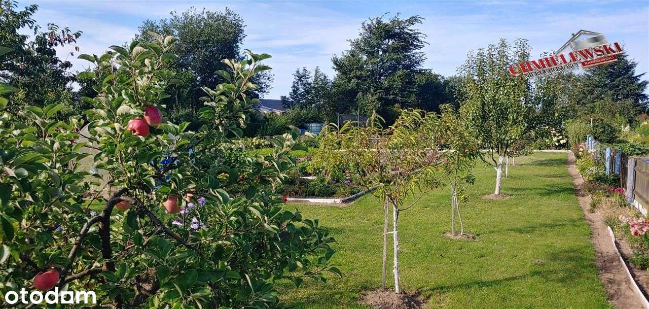 Mieszkanie 3 pokoje z garażem i ogródkiem - Kusice-17