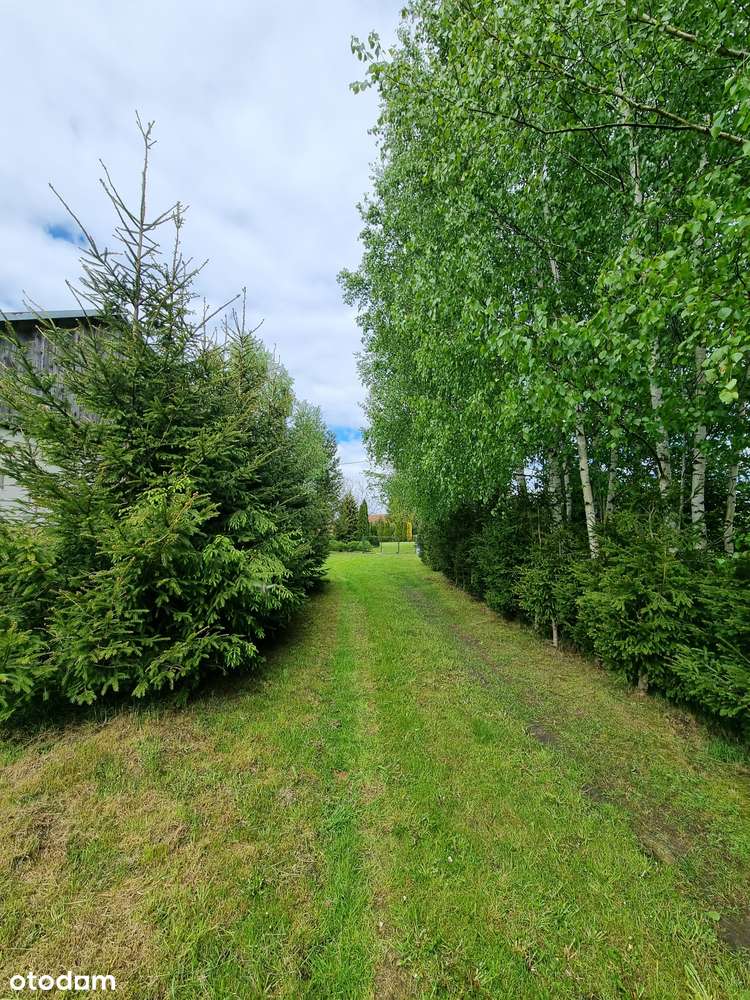 Działka, 79 000 m², Henrykowo-3