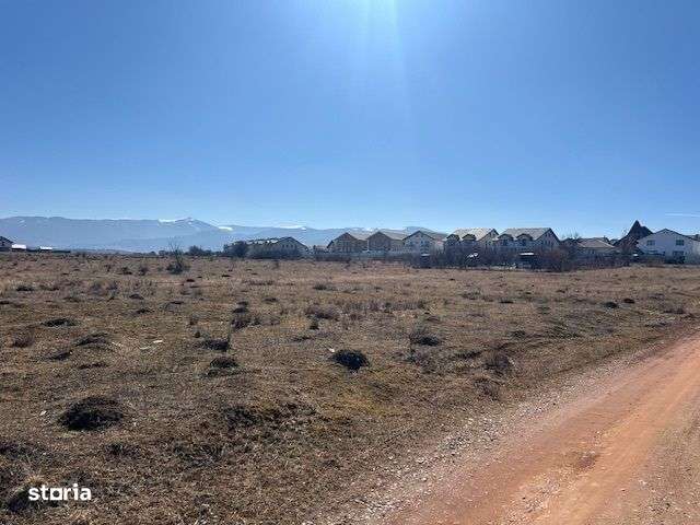 Teren intravilan 859 mp in Calea Cisnadiei, constructii case insiruite - Imagine principală: 5/6