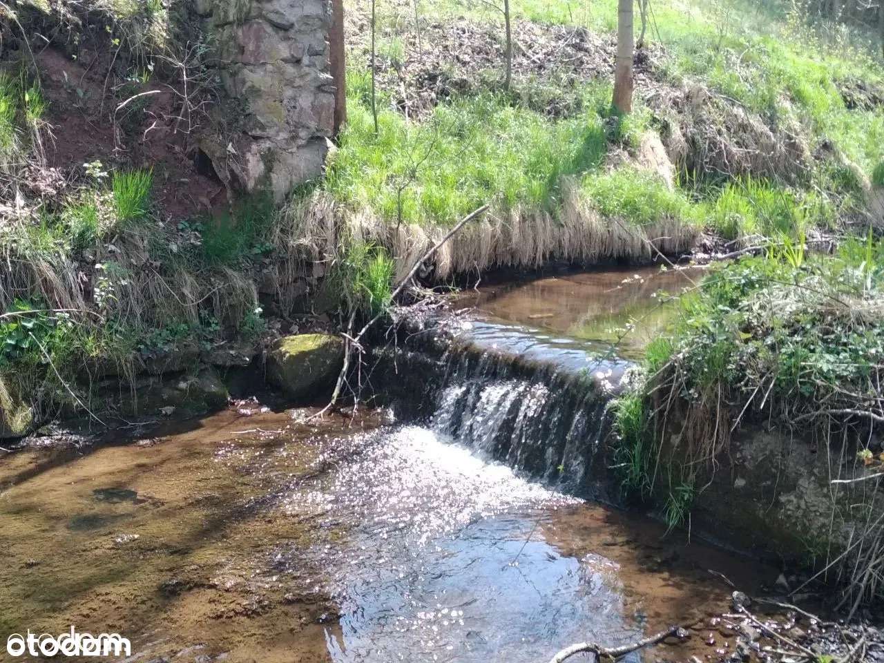 Wyjątkowa działka w Górach Sowich – strumyk, natura i warunki zabudowy - Pełny obrazek: 4/7