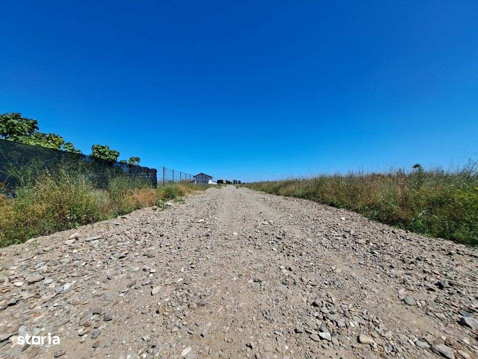 DIMIENI - ILFOV / STR. STRAJA / TEREN 1000 mp / 2000 mp-11