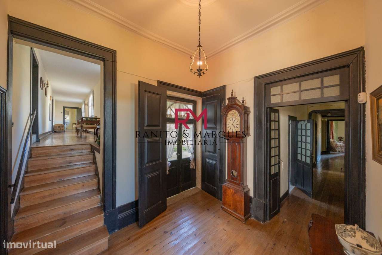 QUINTA COM 3.5HA - BITARÃES, PAREDES - Grande imagem: 3/25