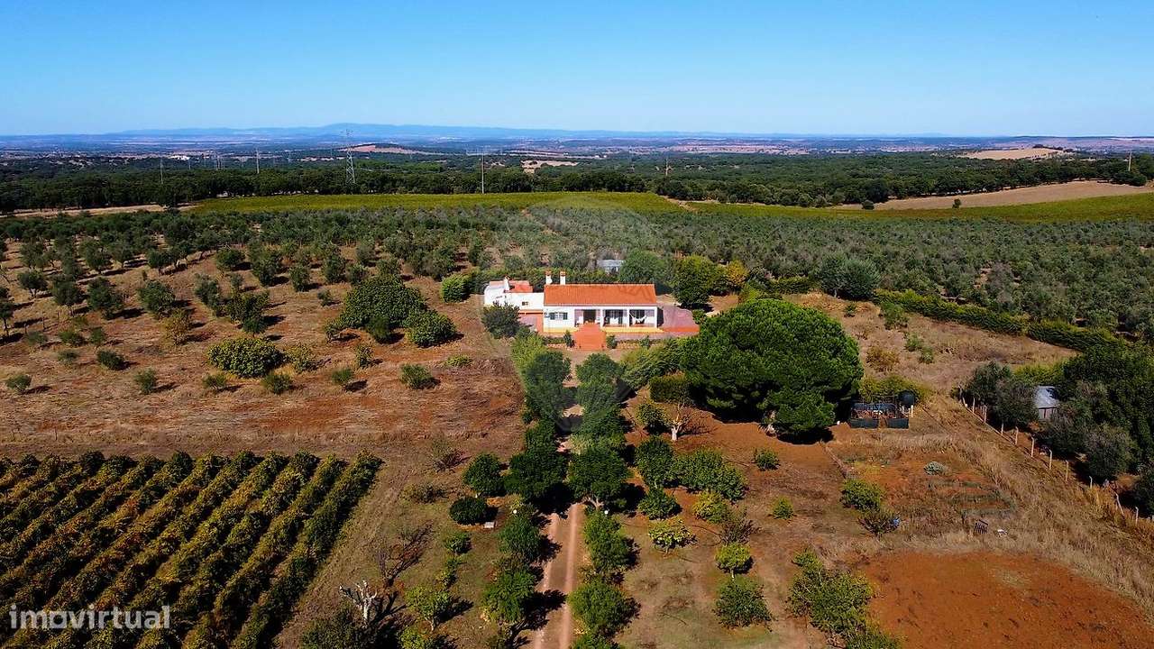 Quinta T3 para venda - Grande imagem: 3/37