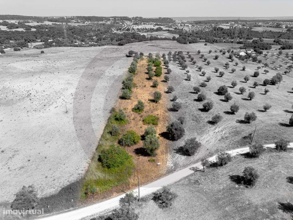 Terreno - Casal bernardino ( terra fria ), Casével, Santarém-0