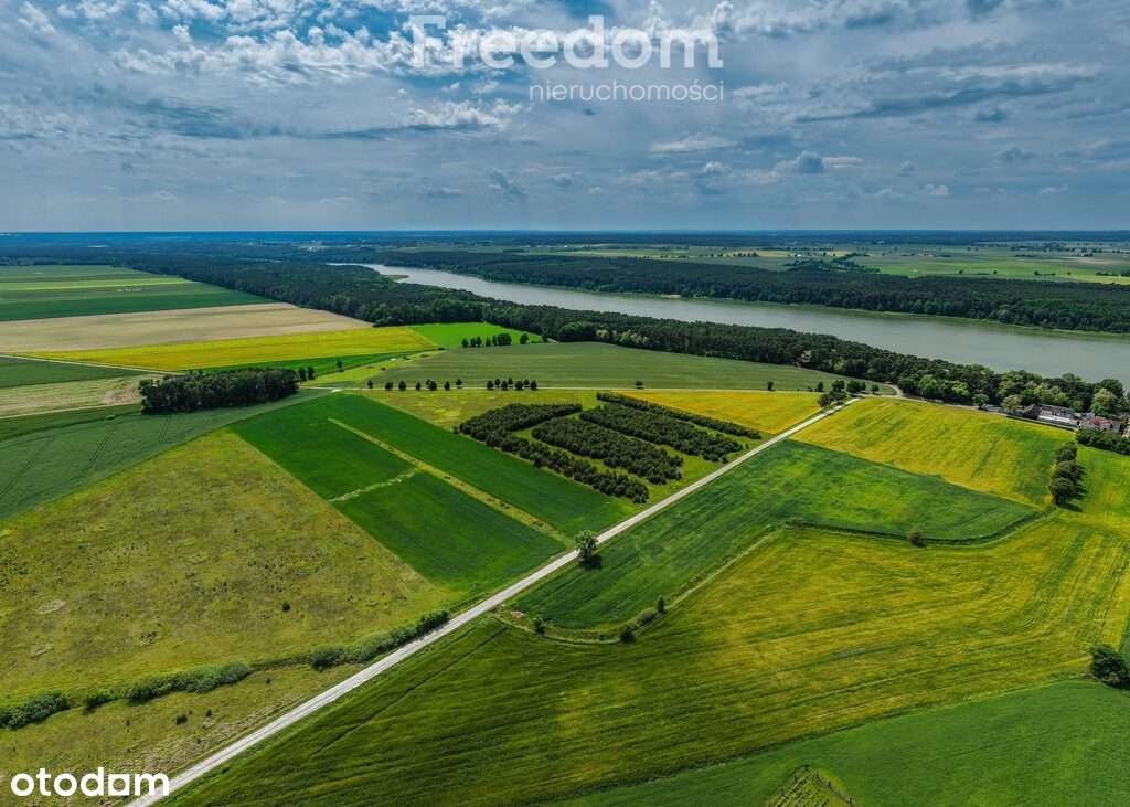 Atrakcyjna działka w Grzybowo, gm. Skoki - Pełny obrazek: 3/9