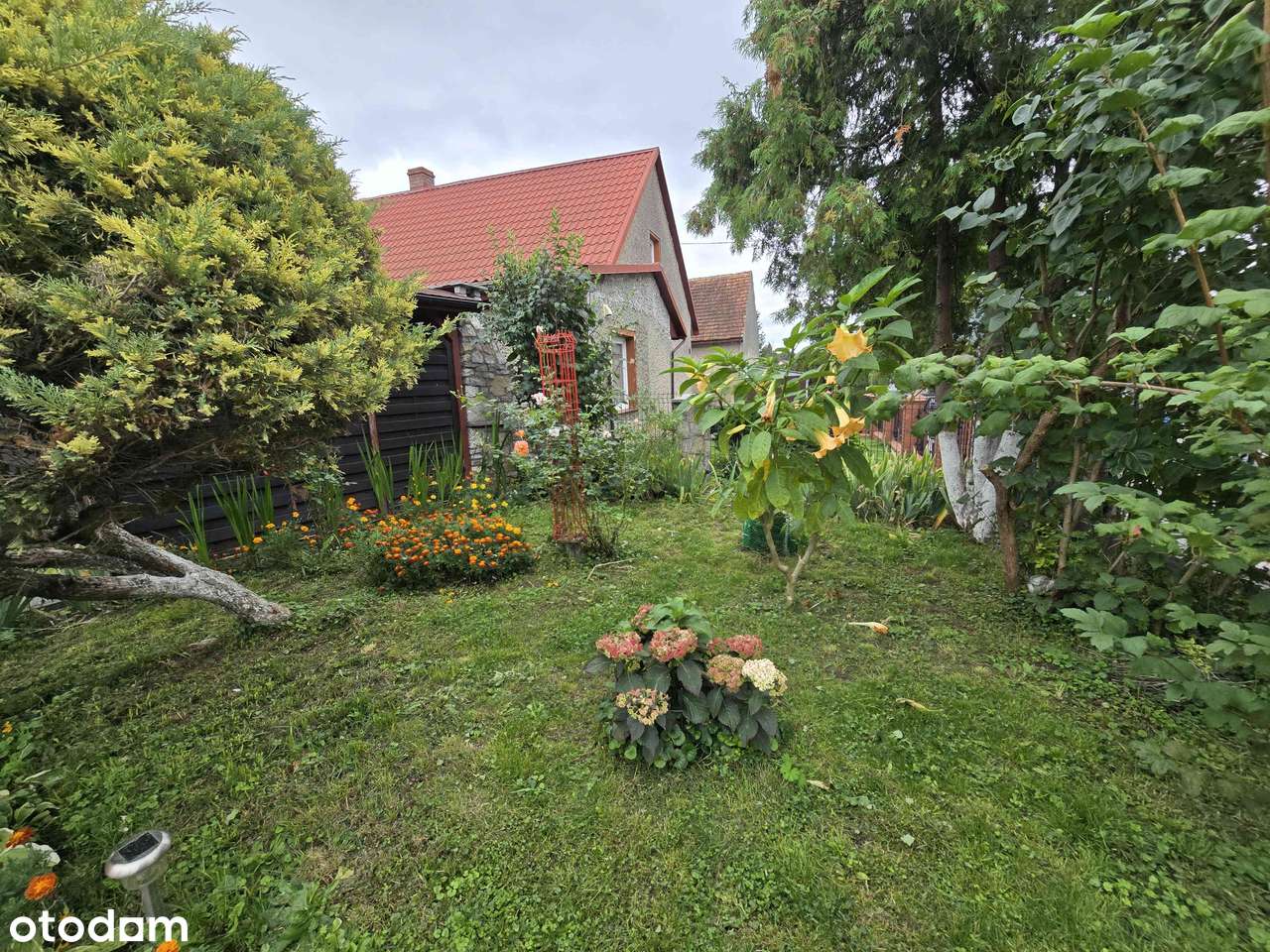 Połowa bliźniaka  wraz z działającym  biznesem-5