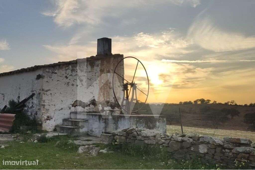 Moradia com logradouro a precisar de renovação em Martinlongo - Alcout - Grande imagem: 5/29