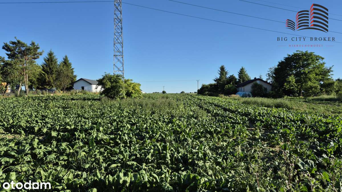 Działka ul. Zagajnikowa Lublin-8