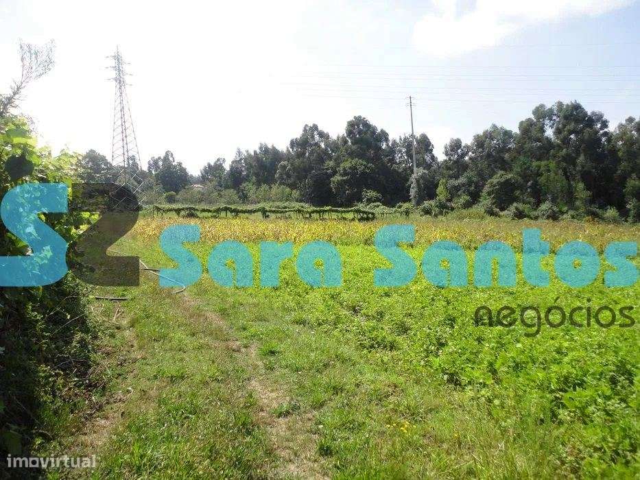 Terreno com 3 artigos, no total de 6.700mts em Pousadela, Nogueira ... - Grande imagem: 2/3