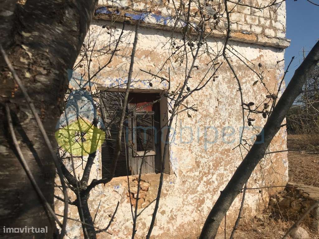 MORADIA/CASA ANTIGA EM RUÍNA COM LOTE DE TERRENO - Grande imagem: 5/28