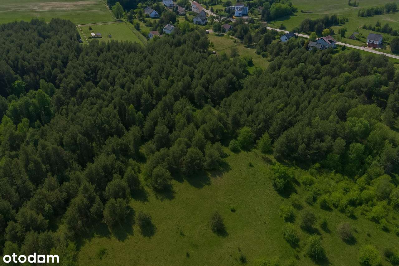 DZIAŁKA BUDOWLANA 6110 m² - Pełny obrazek: 2/3