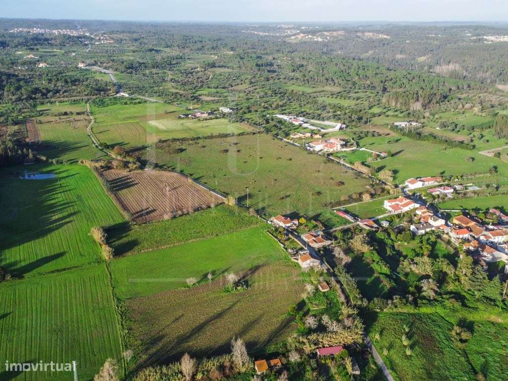 Terreno | Tentúgal - Grande imagem: 5/9