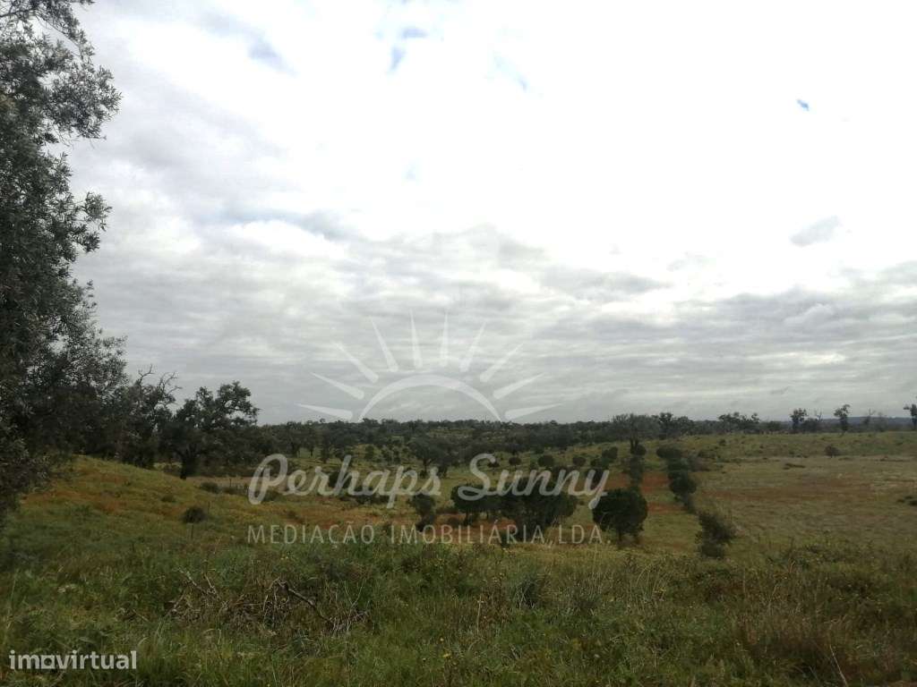 Terreno Mosqueirões - Grande imagem: 5/5