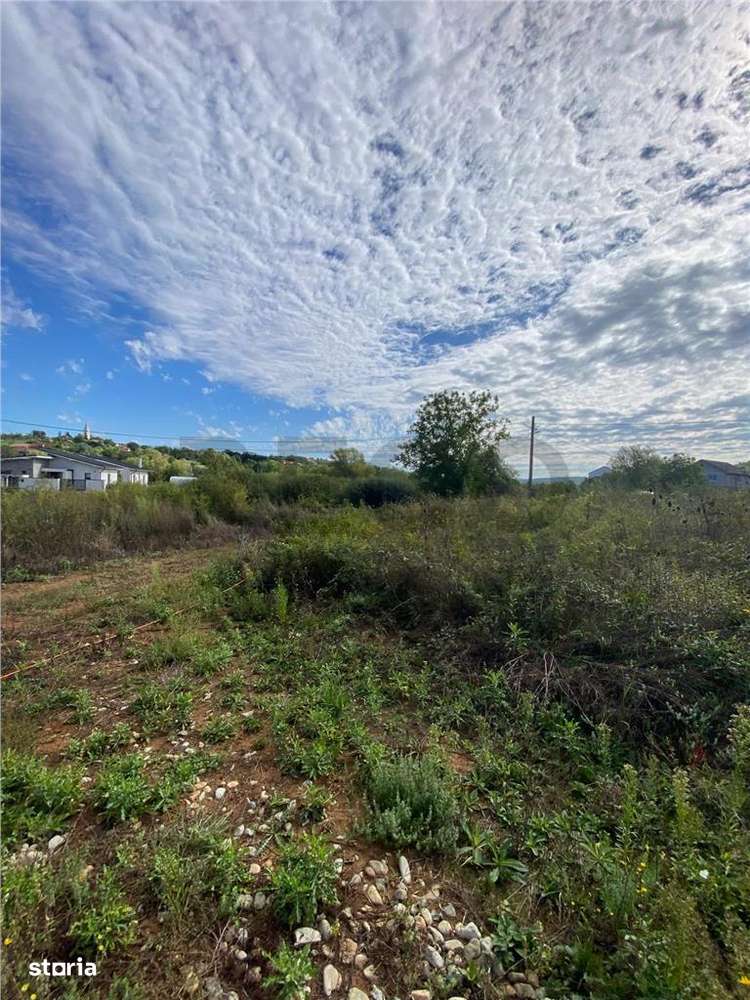 Reco Teren intravilan zona Mini Paradis - Imagine principală: 2/3