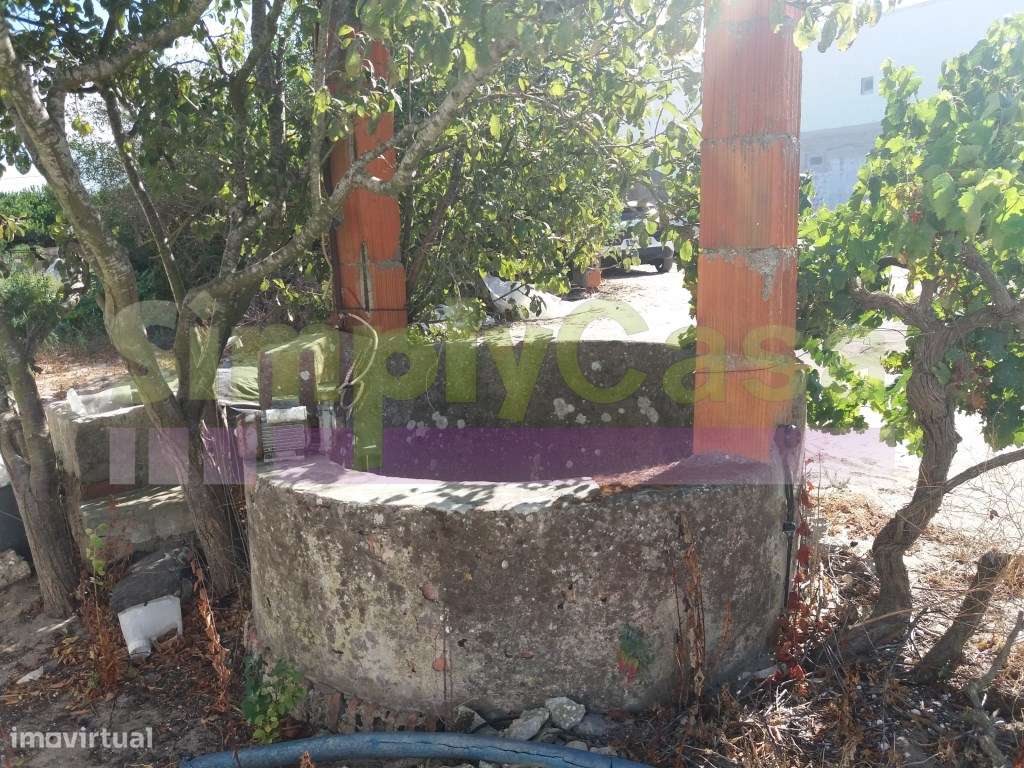 Moradia Ruina junto BA6 Montijo inserida em terreno c/ 3 ha-10
