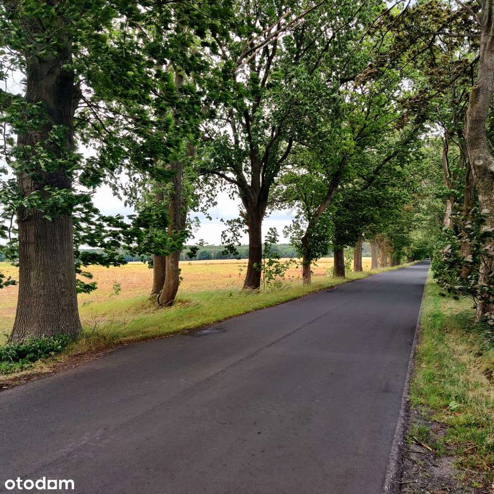 Działki budowlane - w okolicy jezioro i lasy,MPZP-4