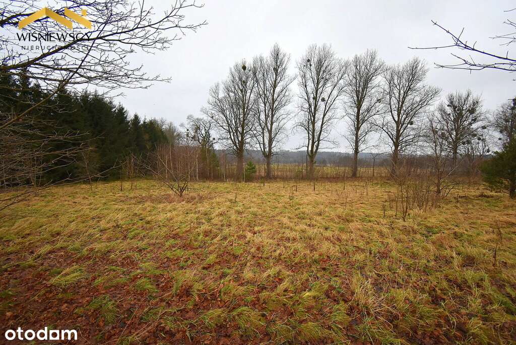 Działka budowlana, uzbrojona, 5000 m2, obok rzeki - Pełny obrazek: 3/7