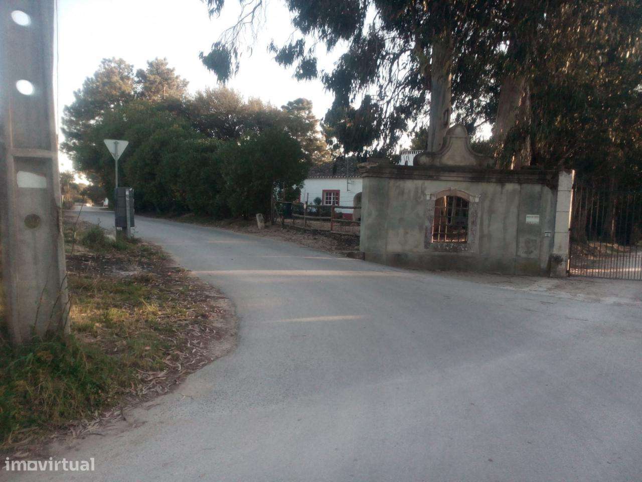 Azeitão / Brejos Azeitão Terreno 5000m2 .-5
