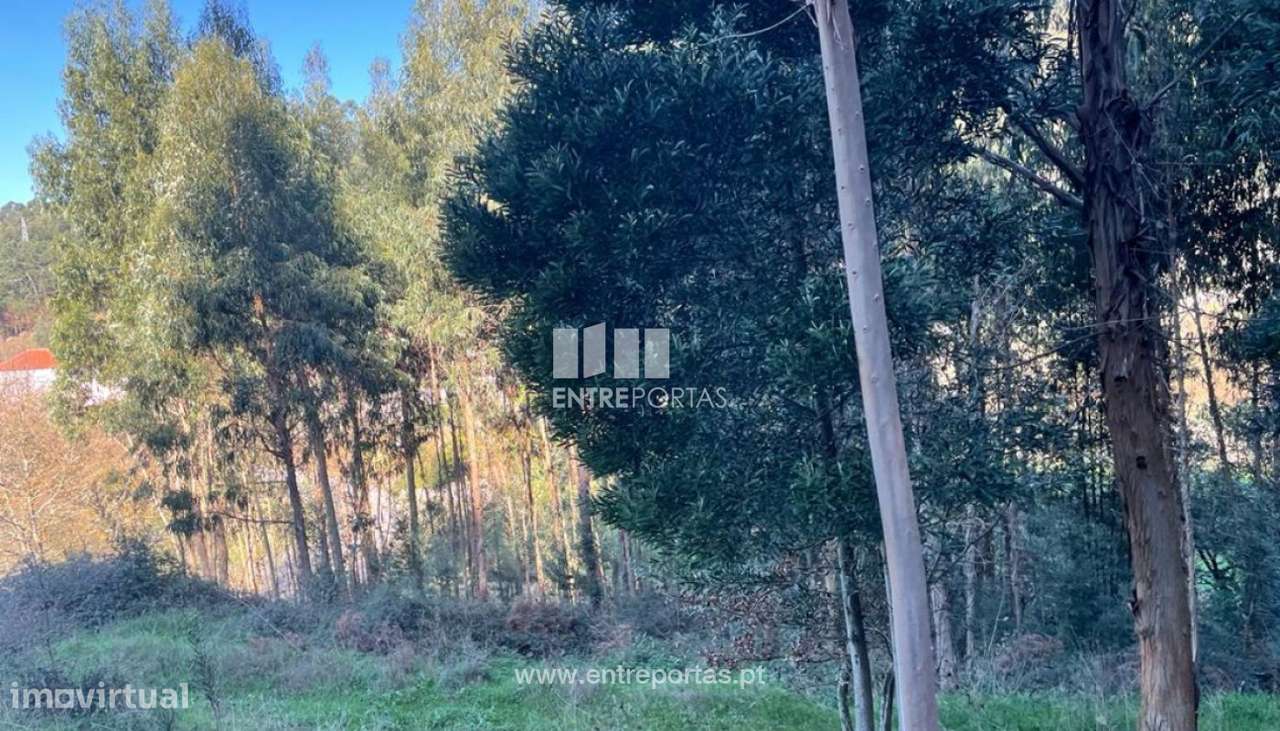 Venda de Terreno, Portela Susã, Viana do Castelo - Grande imagem: 3/29