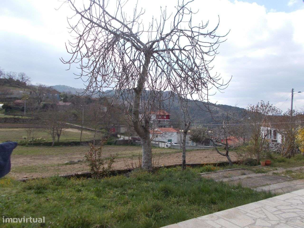 Moradia e Terreno 13442 m2 Pereiro Agrações-21