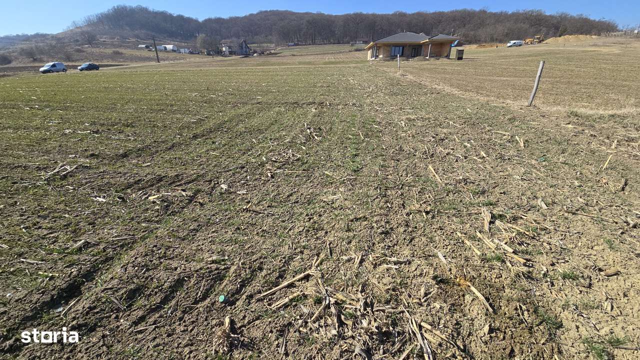 Teren intravilan - zona Stadionului - Mediaș - Imagine principală: 1/4