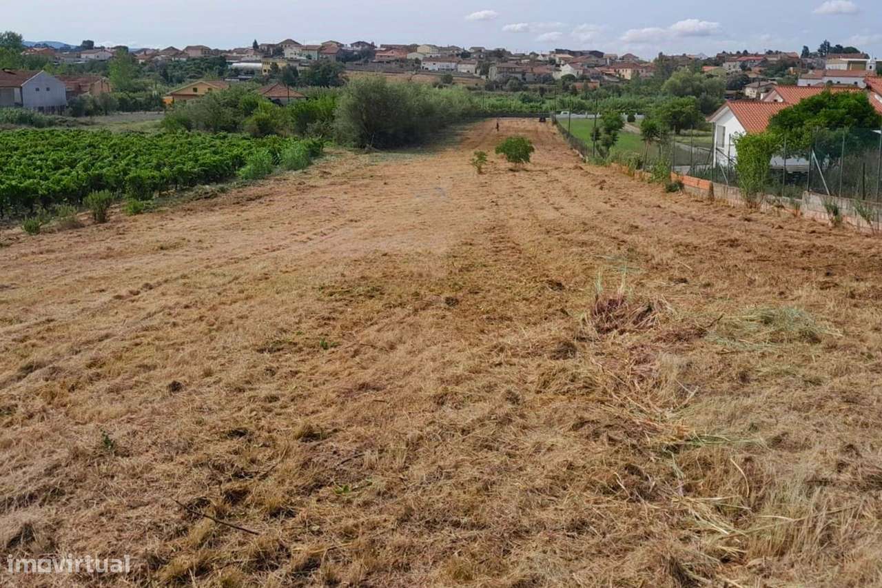 Terreno, Aveiro, Mealhada, Mealhada, Ventosa do Bairro e Antes - Grande imagem: 4/5
