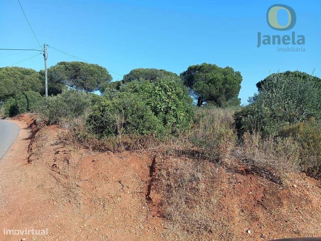 Terreno rústico com bom acesso, perto de Quarteira - Grande imagem: 4/4