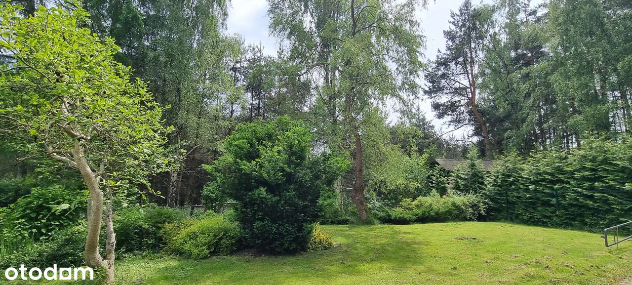 Atrakcyjny teren pod 15 bliźniaków wkomponowanych wśród drzew-16