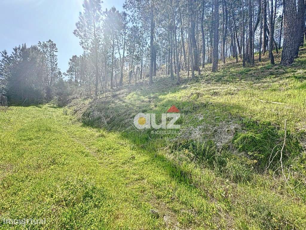 Terreno para construção - Grande imagem: 3/16