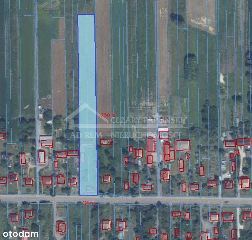 Siennica Różana, 5 818 mkw., siedlisko - Pełny obrazek: 5/5