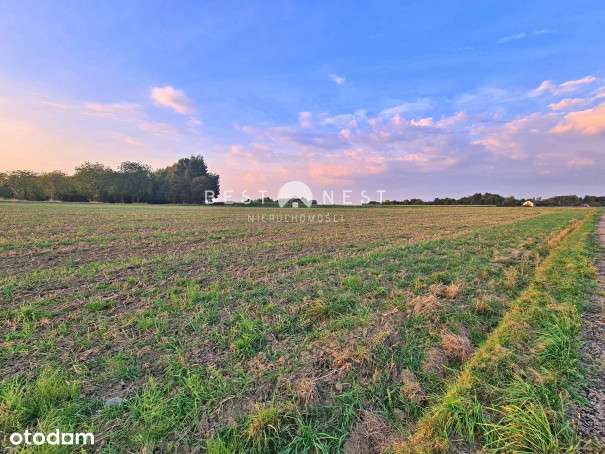 Atrakcyjne działki w Jasienicy, pod wymarzony dom - Pełny obrazek: 5/6